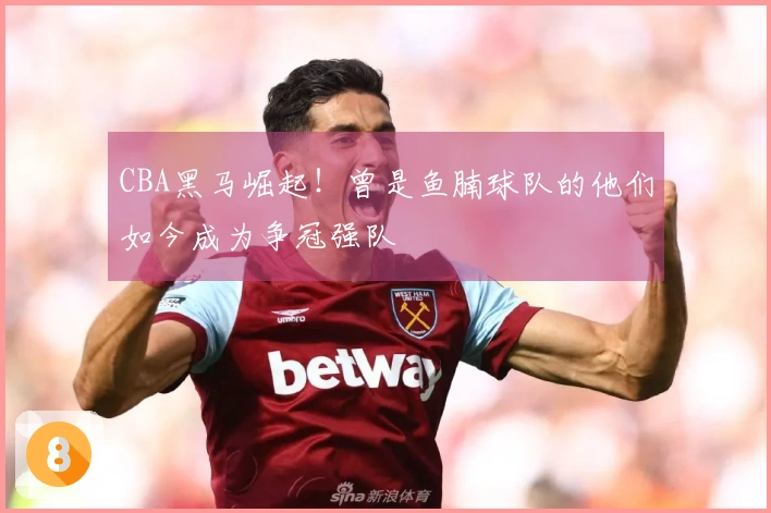 CBA黑马崛起！曾是鱼腩球队的他们如今成为争冠强队