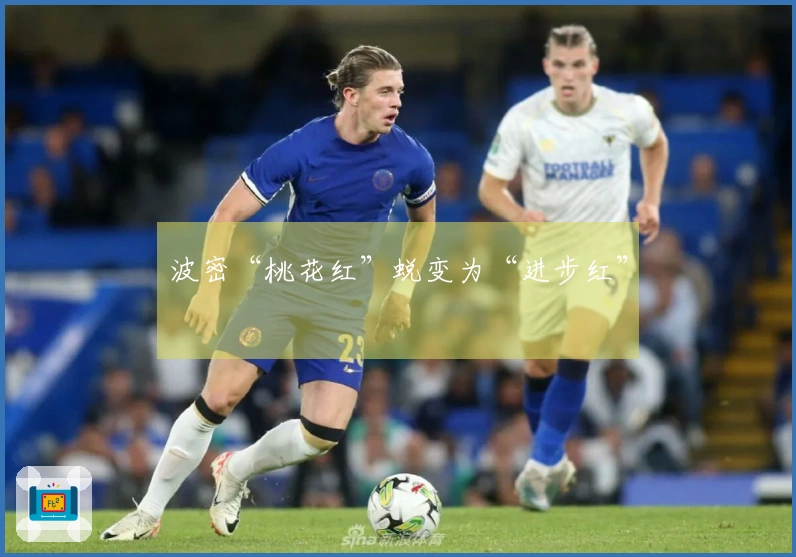 波密“桃花红”蜕变为“进步红”